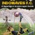 Os Indomáveis FC 05  - A Superliga é só Para Super-Heróis