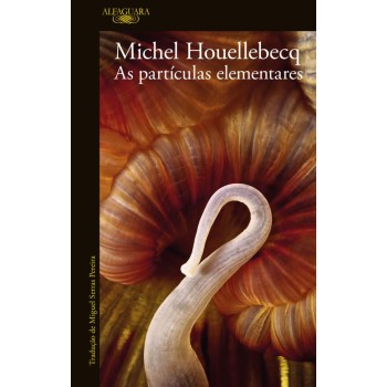 As Particulas Elementares