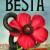 A Besta