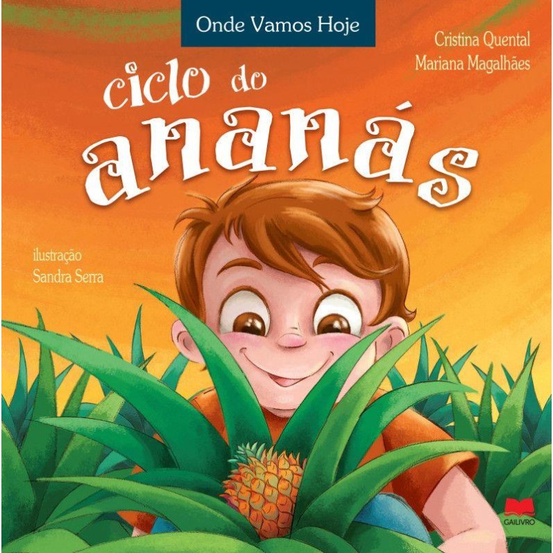 Ciclo do Ananas