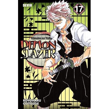 Demon Slayer 17 - Sucessores