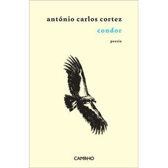 Condor